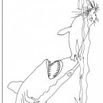 כריש מנסה לטרוף כלב ים