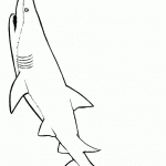 דף צביעה כריש 16