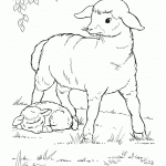 דף צביעה גדי קטן ישן ליד אמו