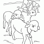 גדיים רועים באחו