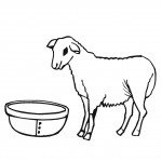 דף צביעה כבשה 4