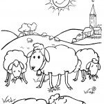 דף צביעה כבשים רועות באחו