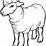 דף צביעה כבשה 1