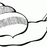 דף צביעה שבלול 10