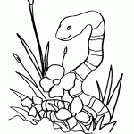 דף צביעה נחש מתבונן בפרח