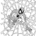 דף צביעה ספיידרמן 40