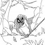 דף צביעה ספיידרמן 23