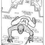 דף צביעה ספיידרמן 52