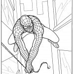 דף צביעה ספיידרמן 15