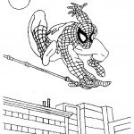 דף צביעה ספיידרמן 9