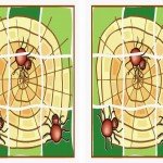 spiderman_puzzle2