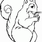 דף צביעה סנאי 20