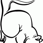 דף צביעה סנאי 15