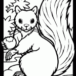 דף צביעה סנאי 14