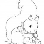 דף צביעה סנאי 12