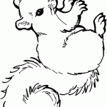 דף צביעה סנאי 11