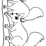 דף צביעה סנאי 10