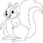 דף צביעה סנאי 5