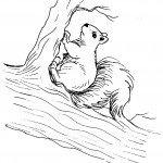 דף צביעה סנאי 3