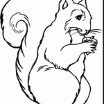 דף צביעה סנאי 1