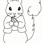 דף צביעה סנאי 17