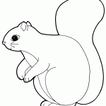 דף צביעה סנאי 18