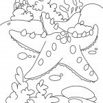 דף צביעה כוכב ים 4