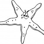 דף צביעה כוכב ים 2