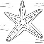 דף צביעה כוכב ים 1