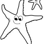 דף צביעה כוכב ים 8