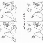 survivor_diff2 survivor_diff2