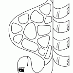 דף צביעה צב 9