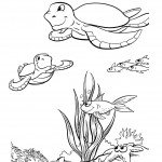 דף צביעה צב בעומק הים