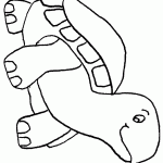 דף צביעה צב 3