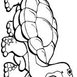 דף צביעה צב 7