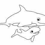 דף צביעה לוויתן 9