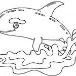 דף צביעה לוויתן 8