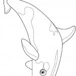 דף צביעה לוויתן 6