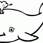 דף צביעה לוויתן 17