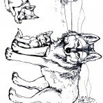 דף צביעה זאב 11 דף צביעה זאב 11