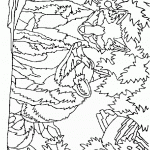 דף צביעה זאב 19 דף צביעה זאב 19