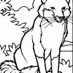 דף צביעה זאב 16 דף צביעה זאב 16