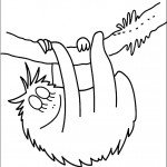 דף צביעה ברבא-נוי נתלה על ענף