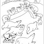 משפחת ברבאבא משחקת עם דובי הקוטב