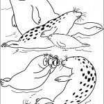 דף צביעה ברבא-חי מצלם אריות ים