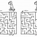 dog_maze2