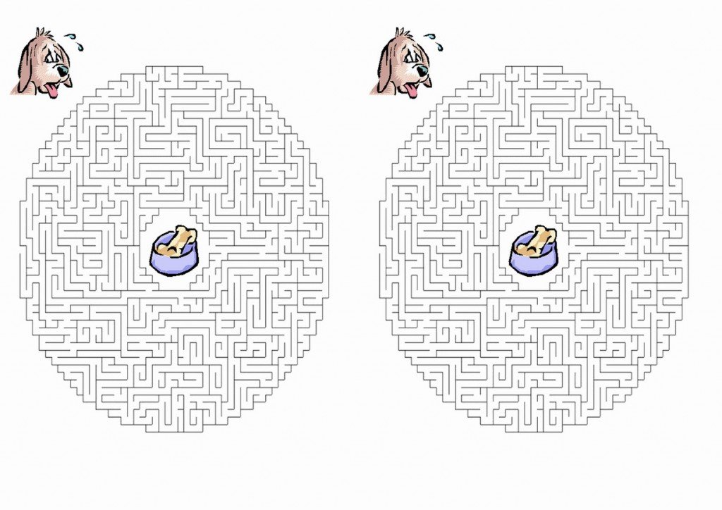 dog_maze3