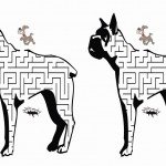 dog_maze4