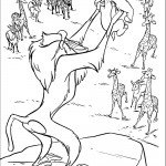 הקוף מראה את סימבה לשאר החיות הקוף מראה את סימבה לשאר החיות