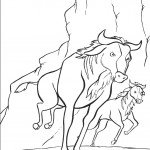 דף צביעה שוורים דוהרים דף צביעה שוורים דוהרים